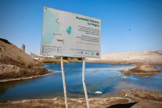 WhatsApp Image 2025-08-28 at 13.07.56.jpeg